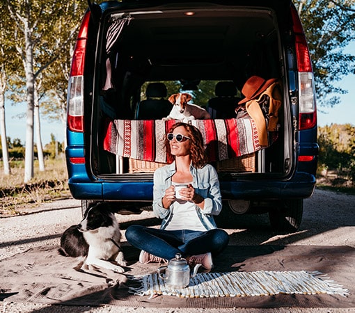 Border Collie Relaxing With Owner Near Van